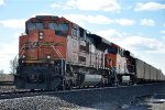 Tied down empty coal train